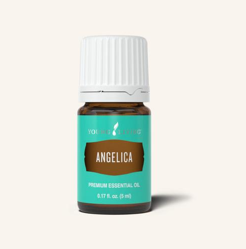 Angelica Oil by Young Livng 5ml