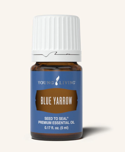 Blue Yarrow Oil by Young Living 5ml
