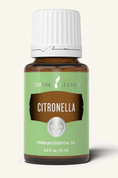 Citronella Oil by Young Living 15ml