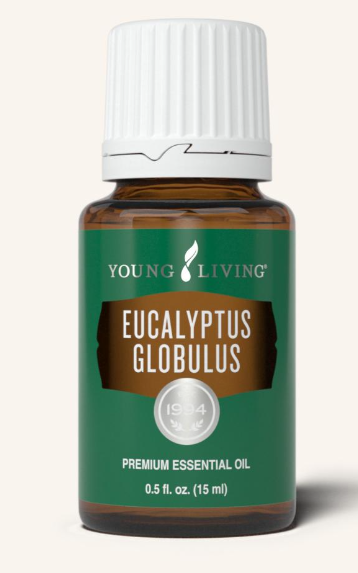 Eucalyptus Globulus Oil by Young Living 15ml