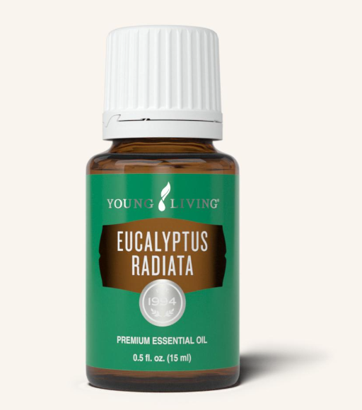 Eucalyptus Radiata Oil by Young Living 15ml