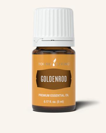Goldenrod Oil by Young Living 5ml
