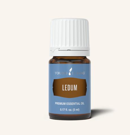 Ledum Oil by Young Living 5ml