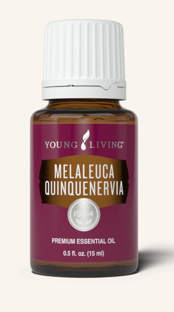 Melaleuca Quinquenervia Oil by Young Living 15ml