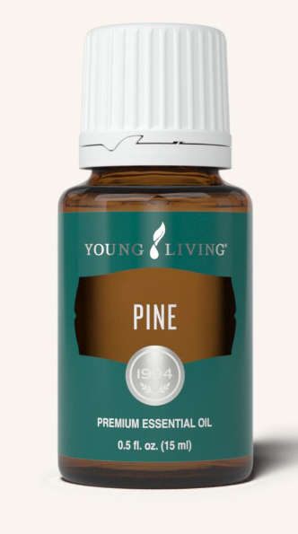 Pine Oil by Young Living 15ml