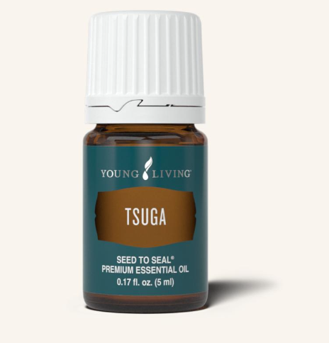 Tsuga Oil by Young Living 5ml