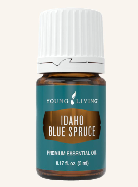 Idaho Blue Spruce by Young Living 5ml