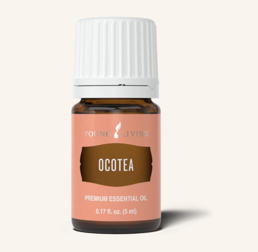 Ocotea Oil by Young Living 5ml