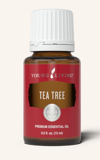 Tea Tree Oil by Young Living 15ml